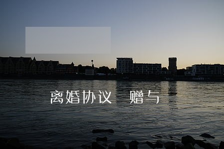 离婚协议 赠与 离婚协议 赠与